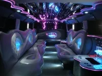 Hummer Voyage